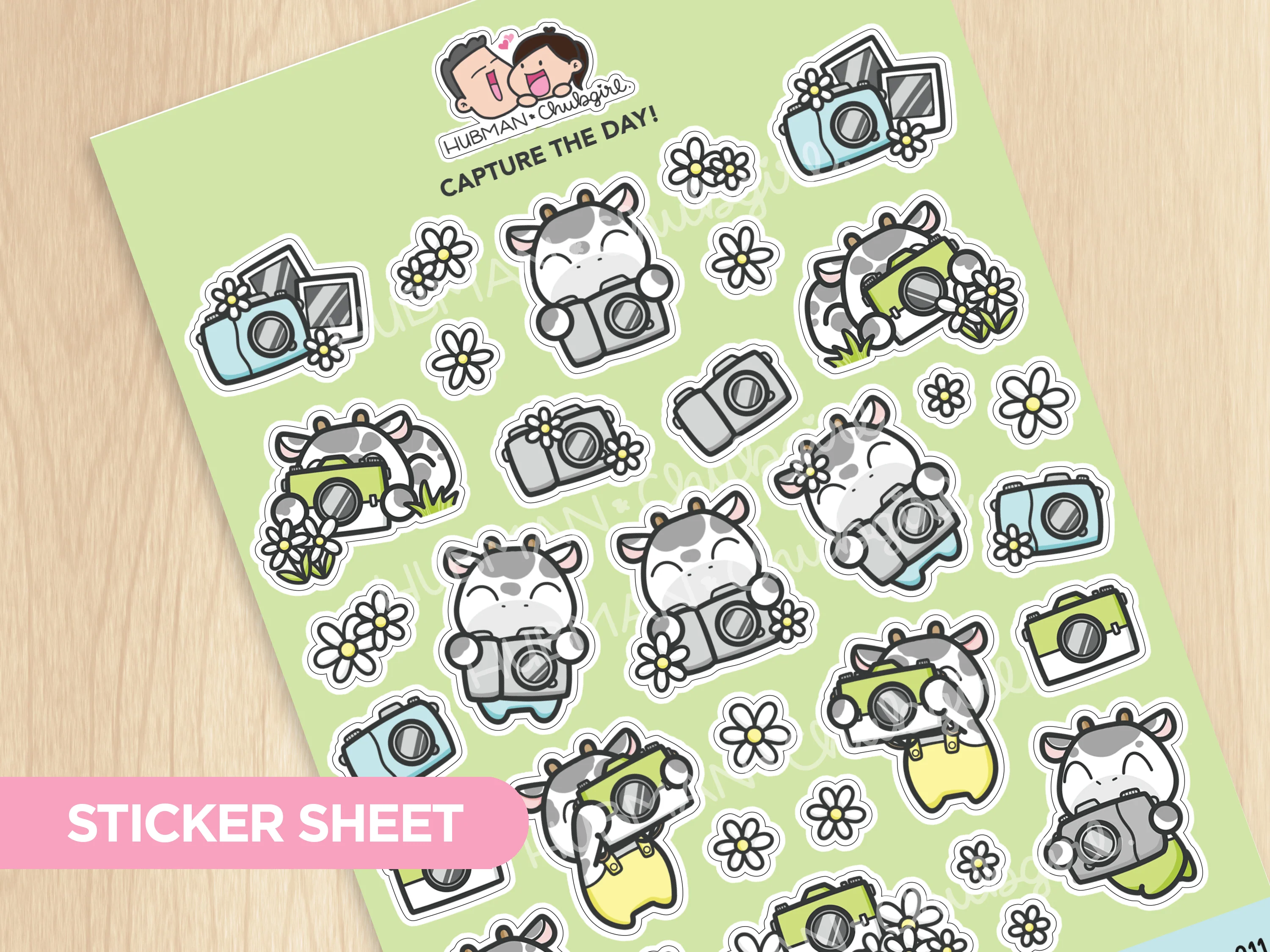 Capture the Day! Sticker Sheet