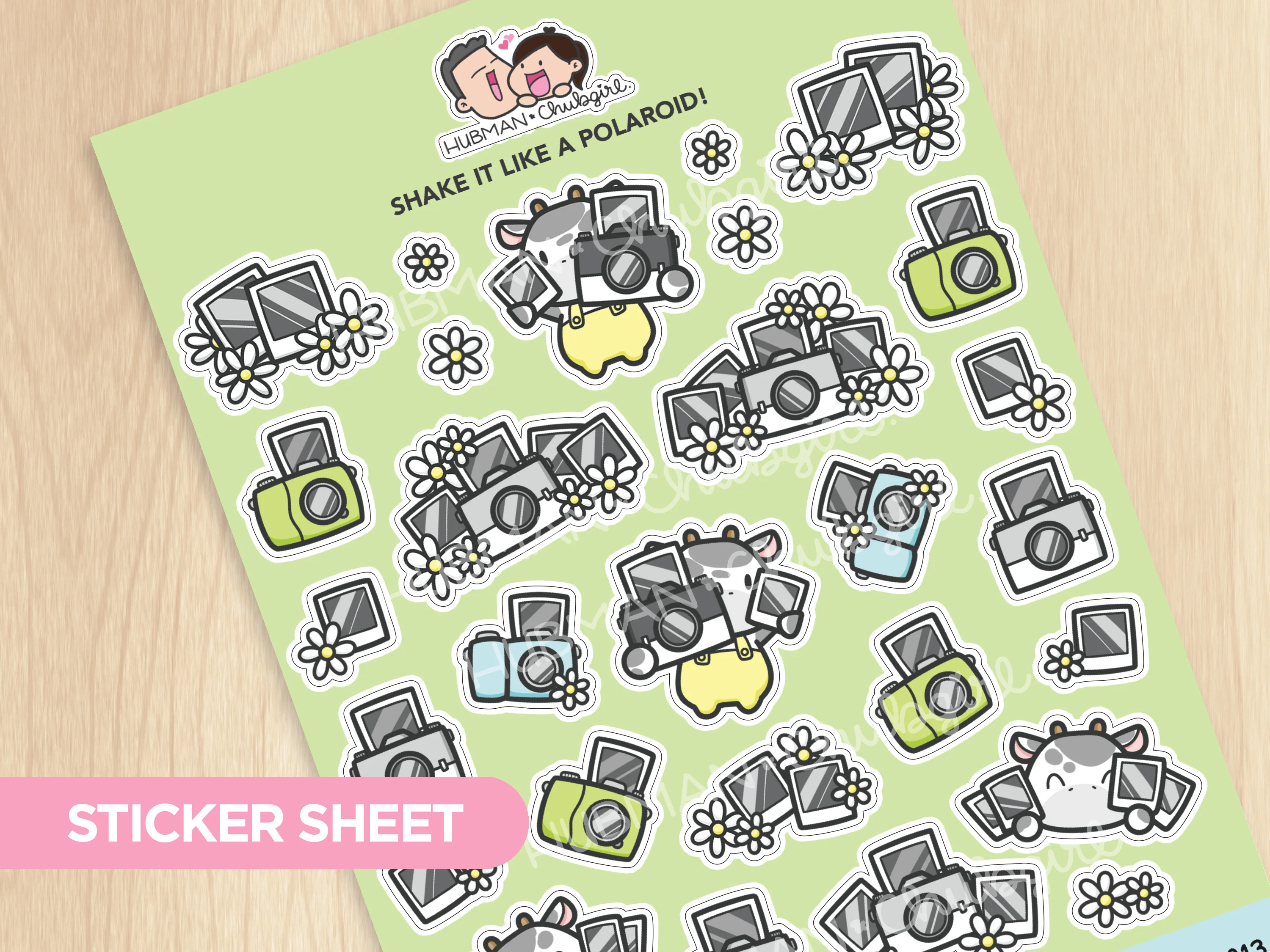 Shake It Like a Polaroid! Sticker Sheet