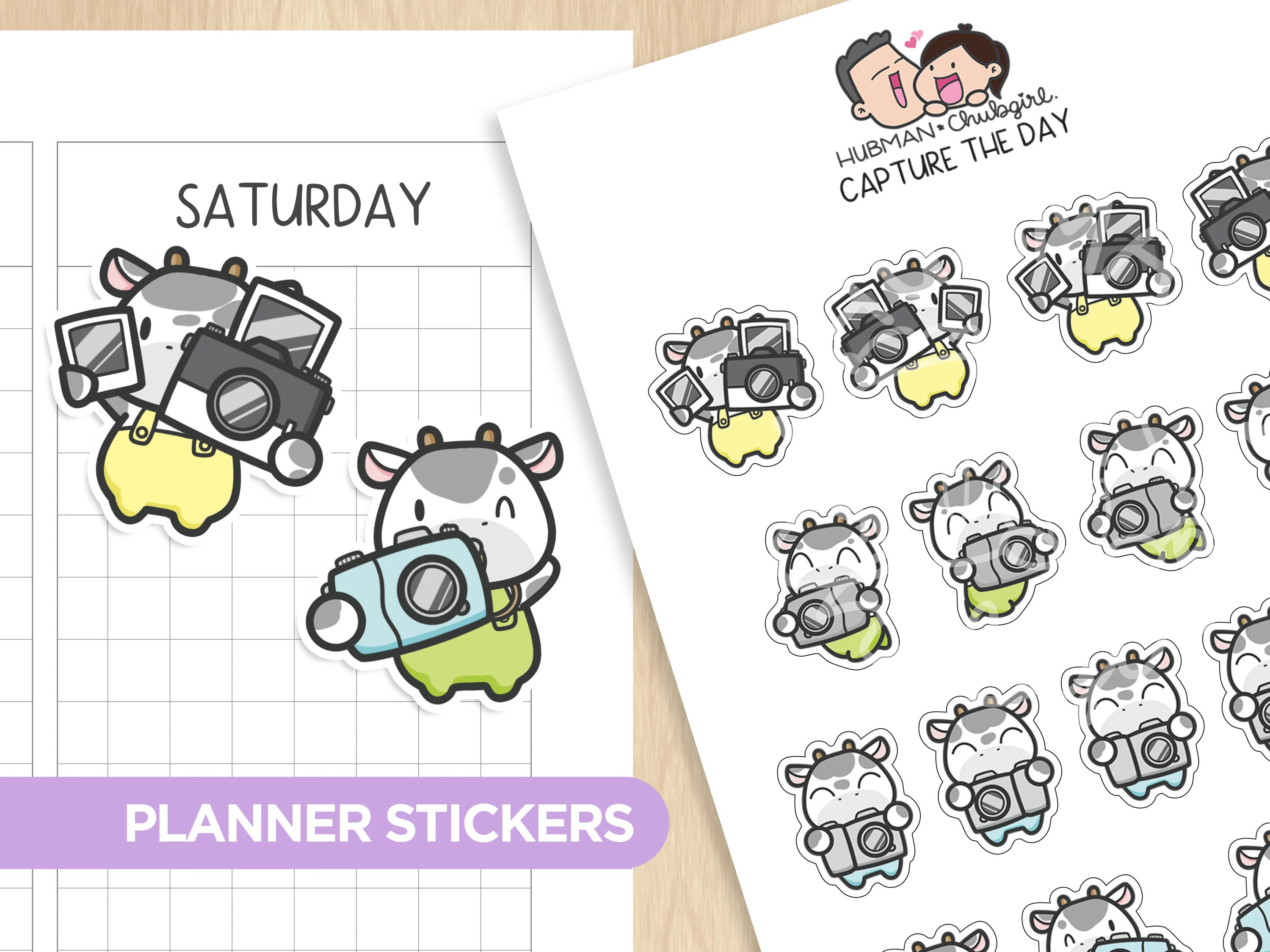 Capture the Day Planner Stickers