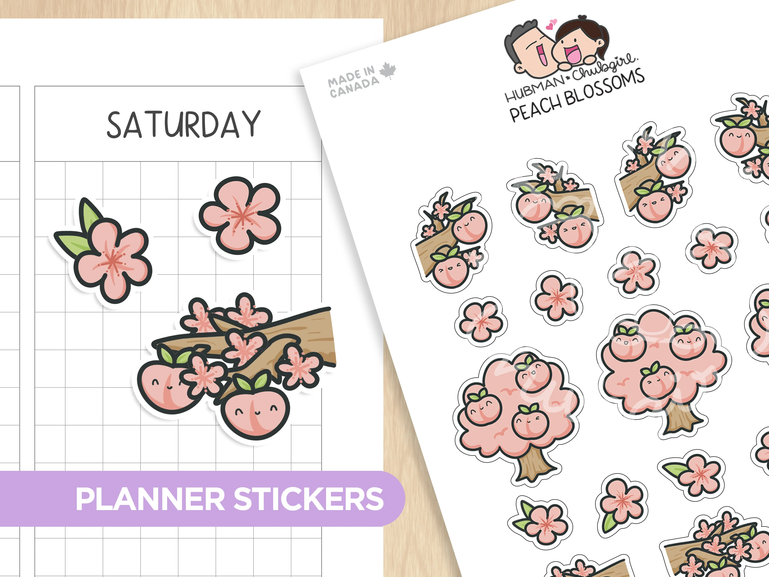 Peach Blossoms Planner Stickers