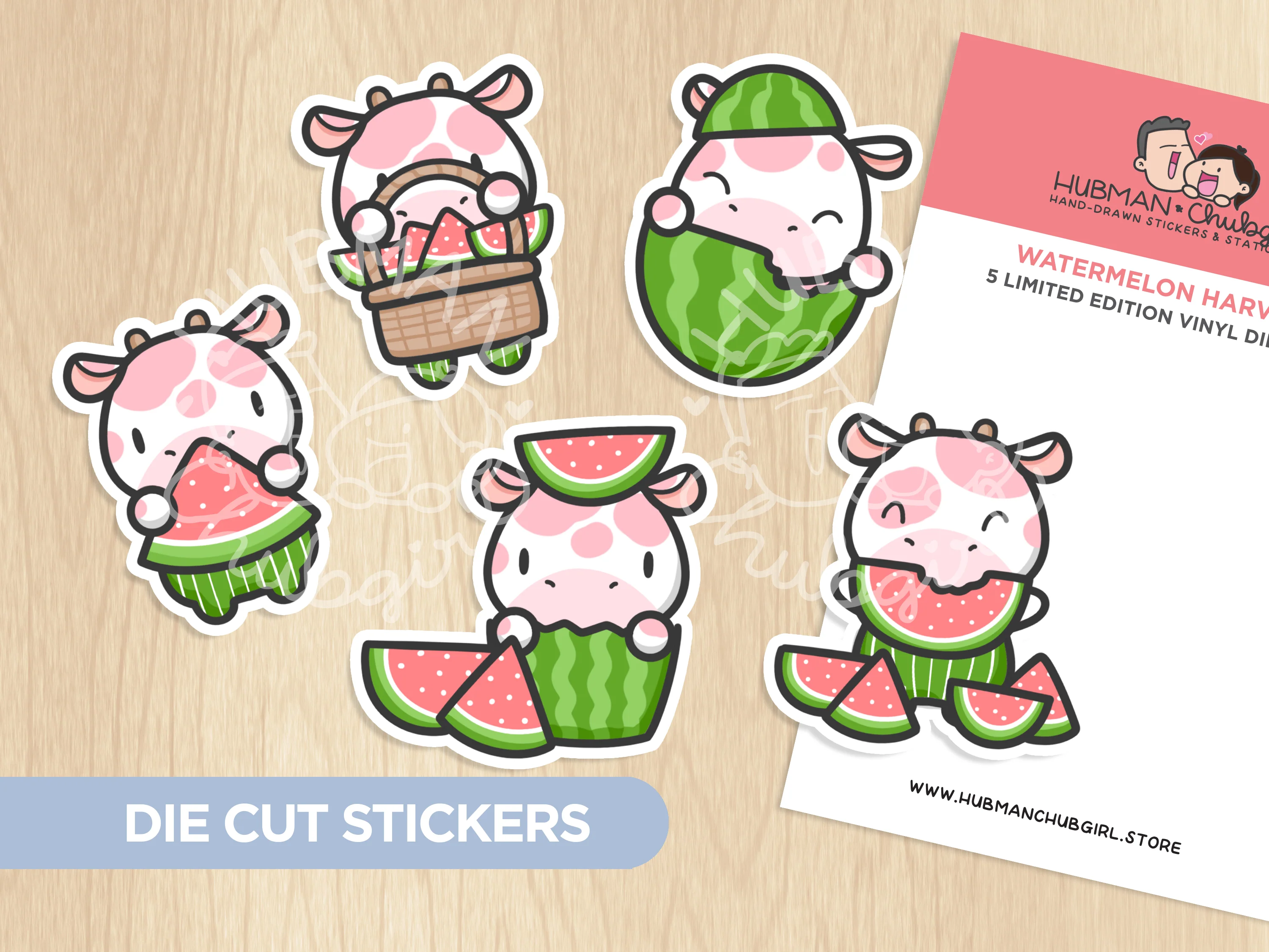 Summer Watermelon Sticker Set - Image 5