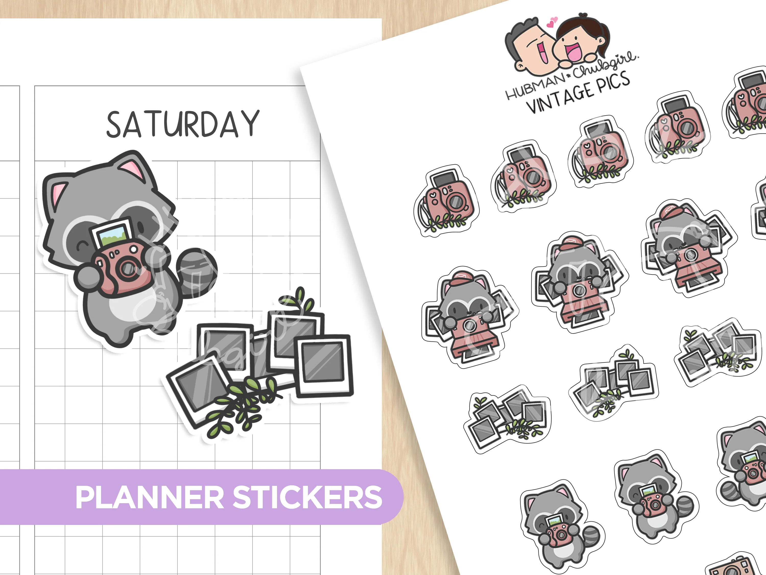 Vintage Pics Planner Stickers