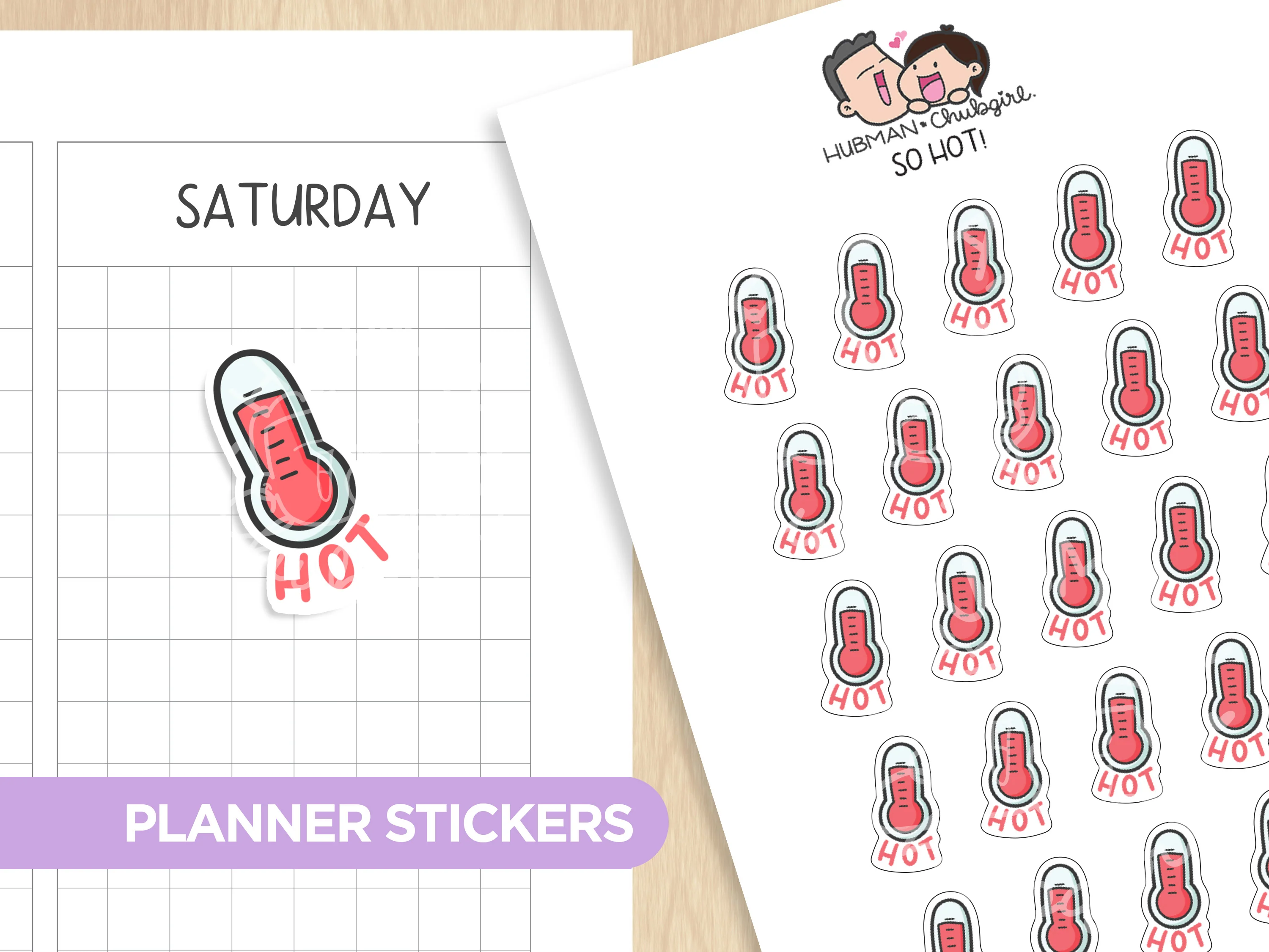 Weather Tracker Planner Sticker Set - Image 8