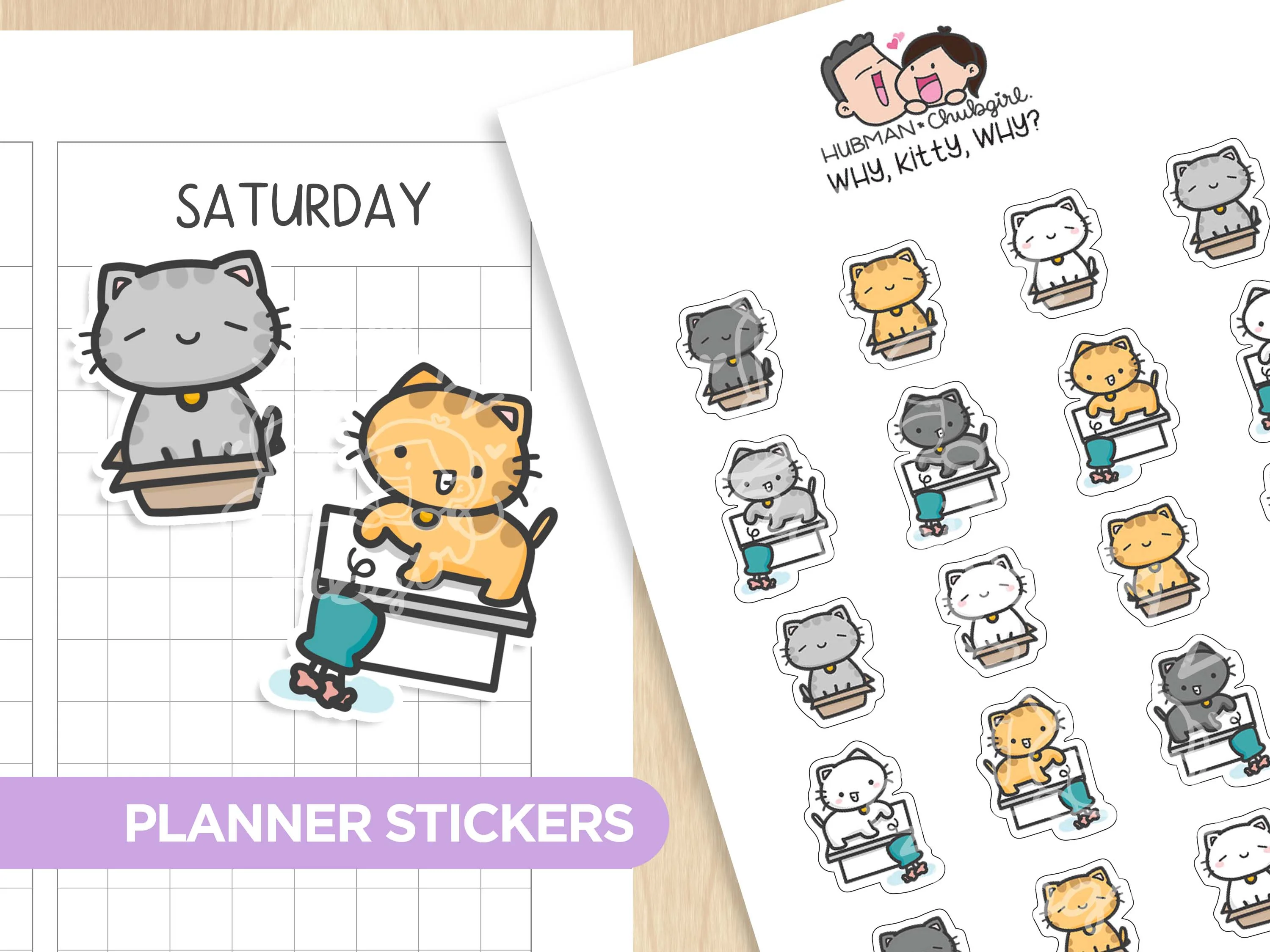 Why, Kitty, Why? Planner Stickers